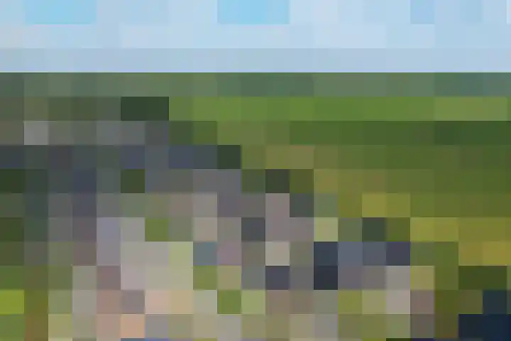 De Strânljip 21 Hurdegaryp thumbnail 58
