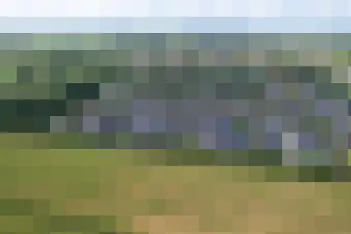 De Strânljip 21 Hurdegaryp thumbnail 59