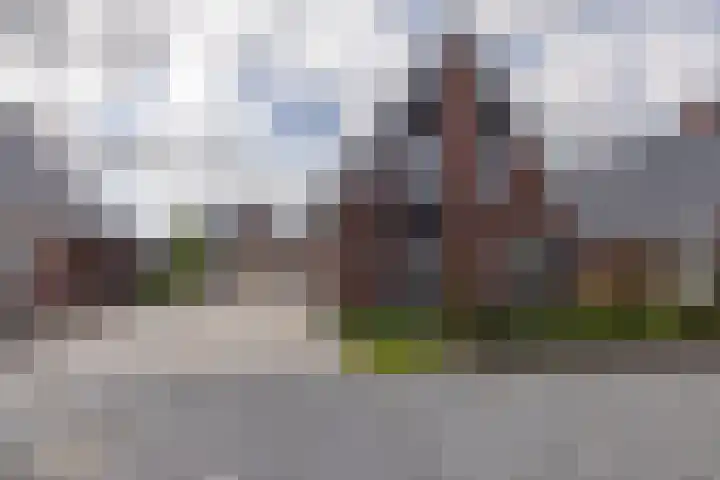 De Strânljip 21 Hurdegaryp thumbnail 65