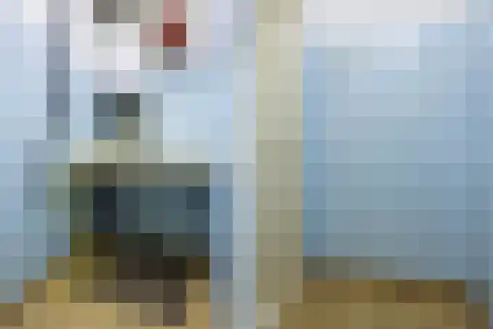 De Streek 17 Ferwert thumbnail 11