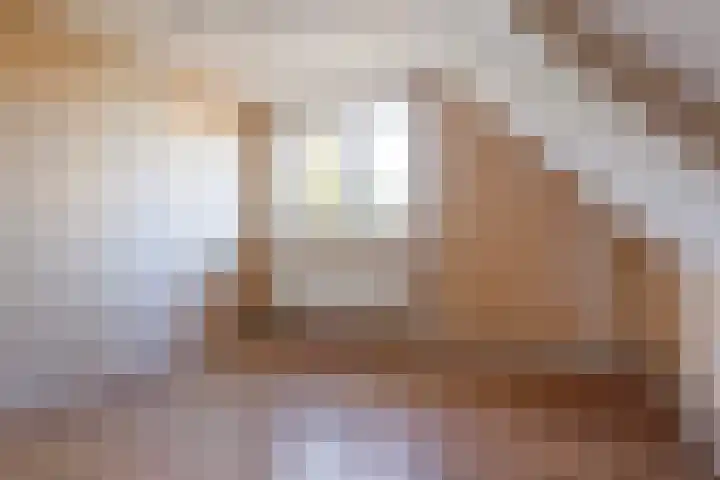 De Streek 17 Ferwert thumbnail 13