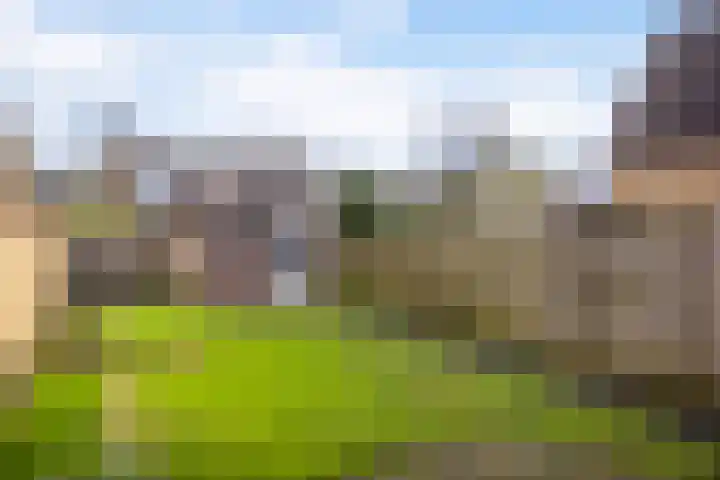 De Streek 17 Ferwert thumbnail 24