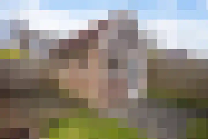 De Streek 17 Ferwert thumbnail 25
