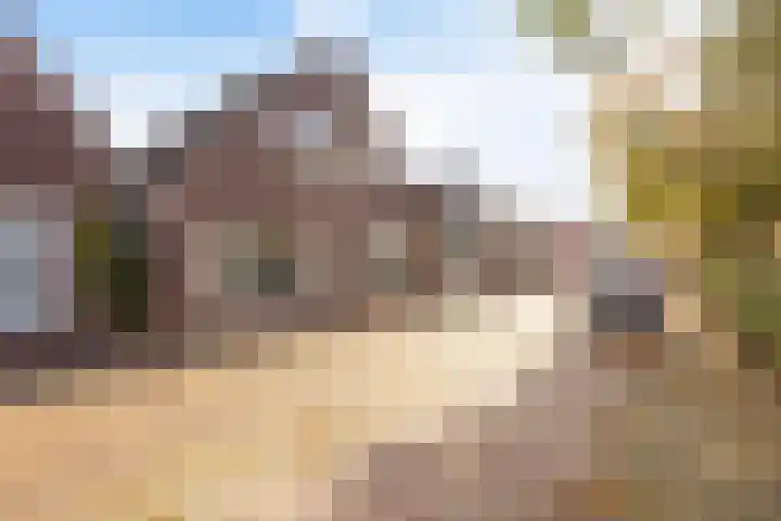 De Streek 17 Ferwert thumbnail 28
