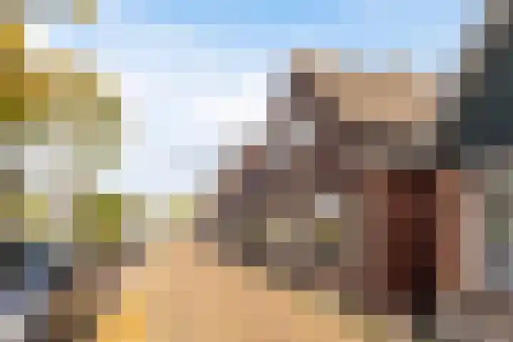 De Streek 17 Ferwert thumbnail 31