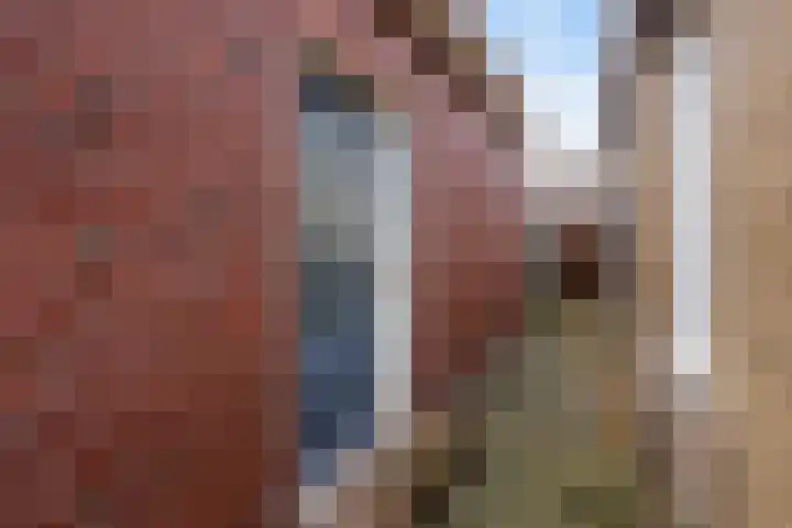 De Streek 17 Ferwert thumbnail 32