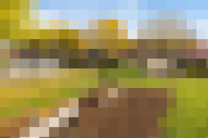 De Streek 17 Ferwert thumbnail 33