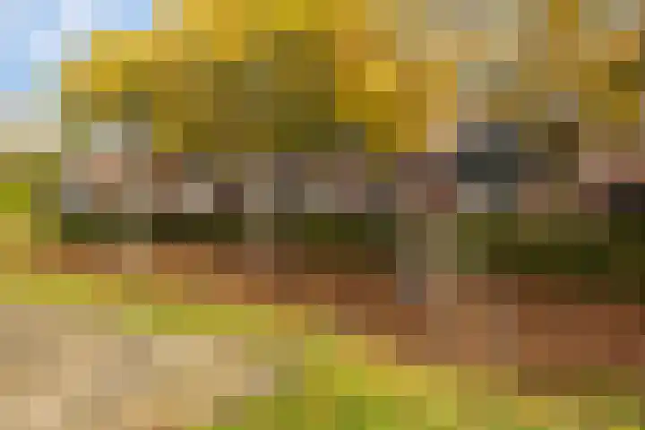 De Streek 17 Ferwert thumbnail 34