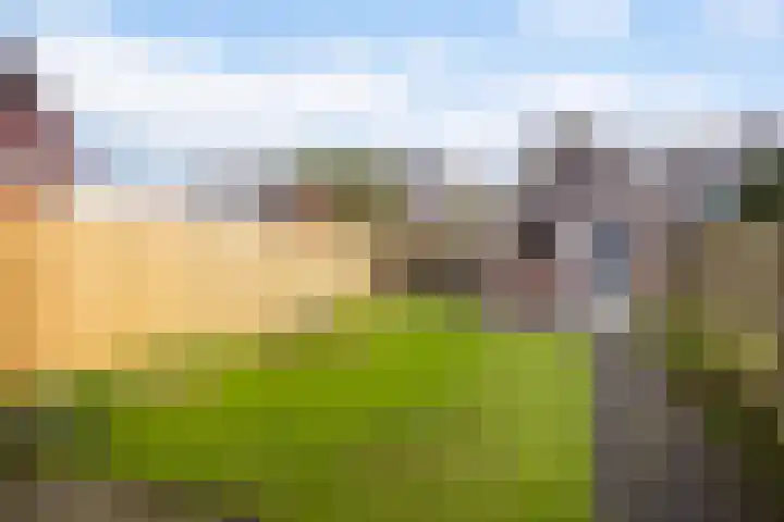 De Streek 17 Ferwert thumbnail 4