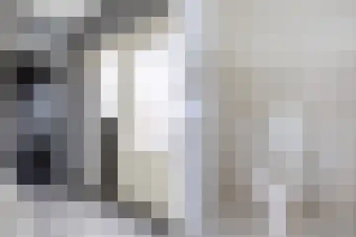 De Streek 17 Ferwert thumbnail 6