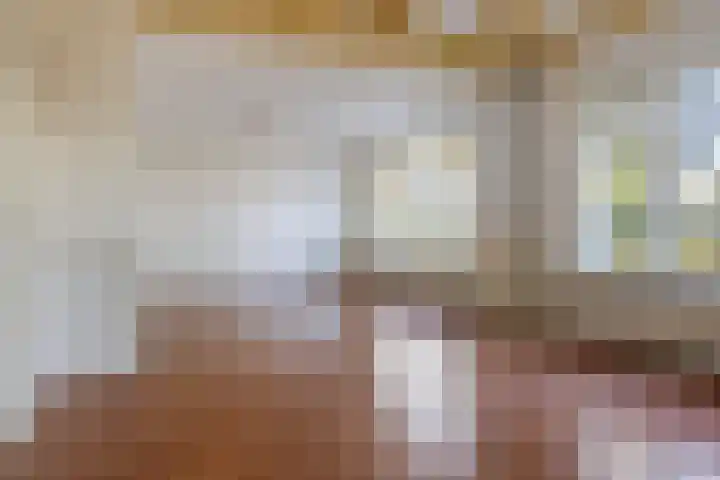De Streek 17 Ferwert thumbnail 7