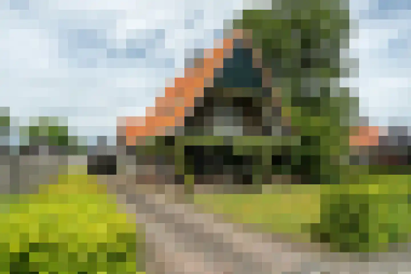 De Streek 35 Terwispel foto 3