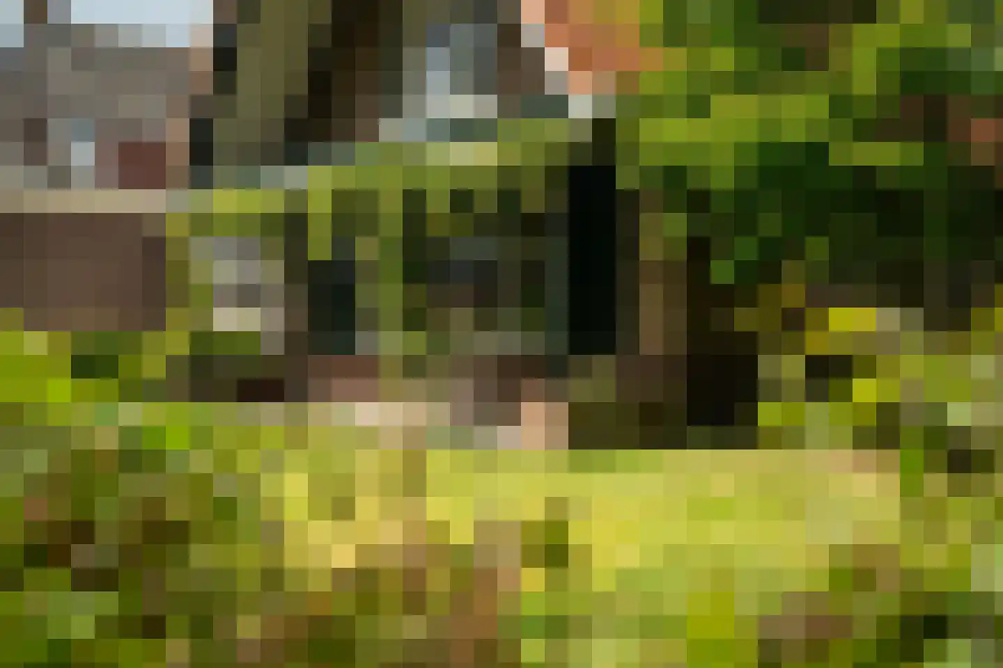 De Streek 35 Terwispel thumbnail 4