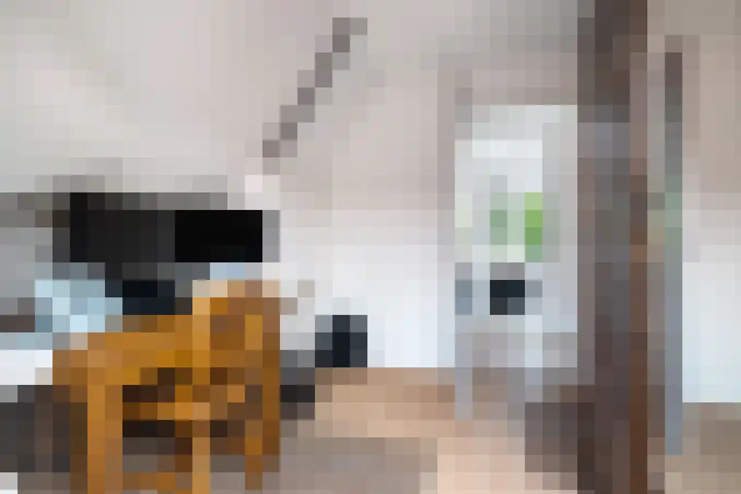De Streek 35 Terwispel thumbnail 47