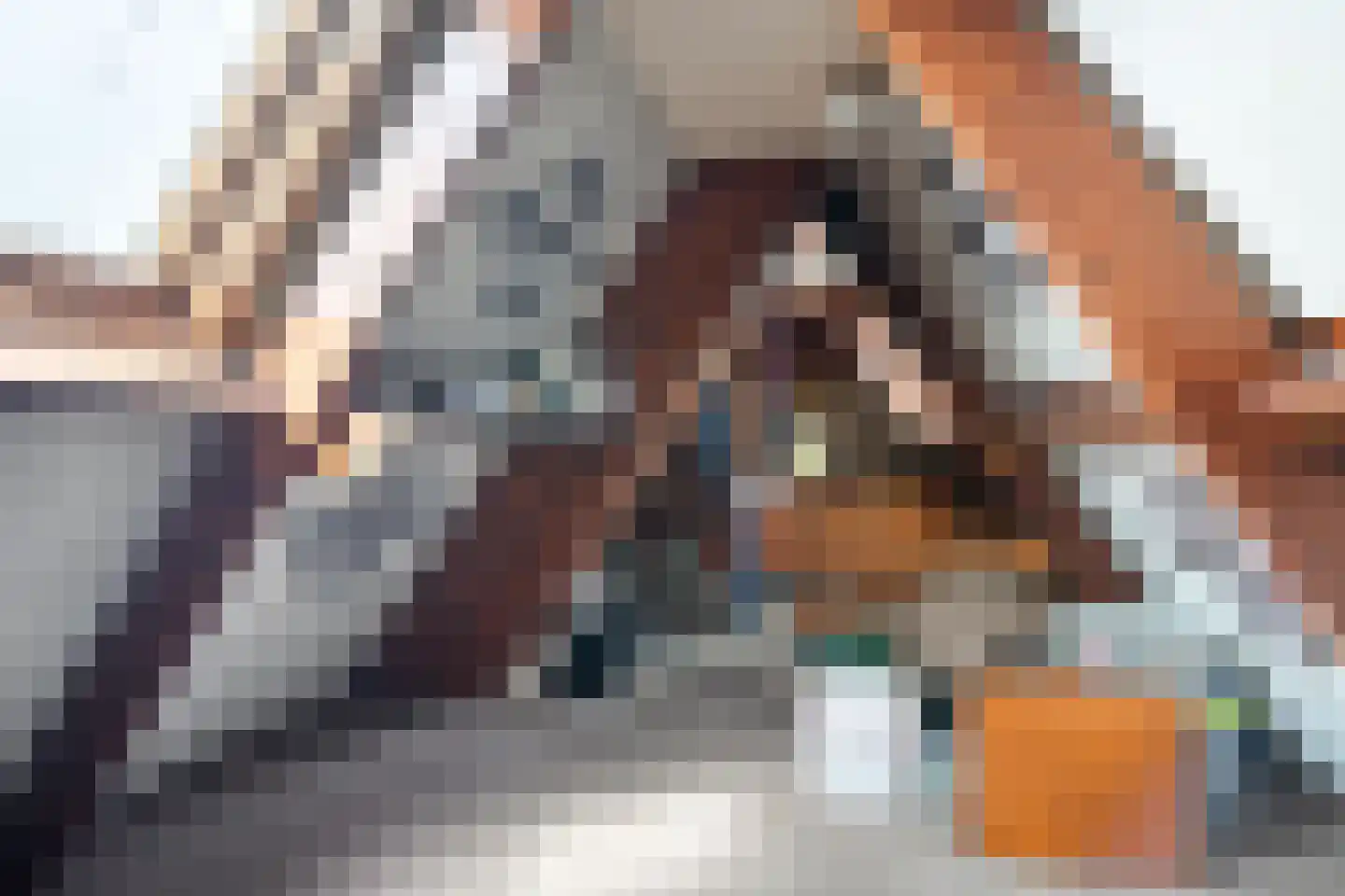 De Streek 35 Terwispel thumbnail 48