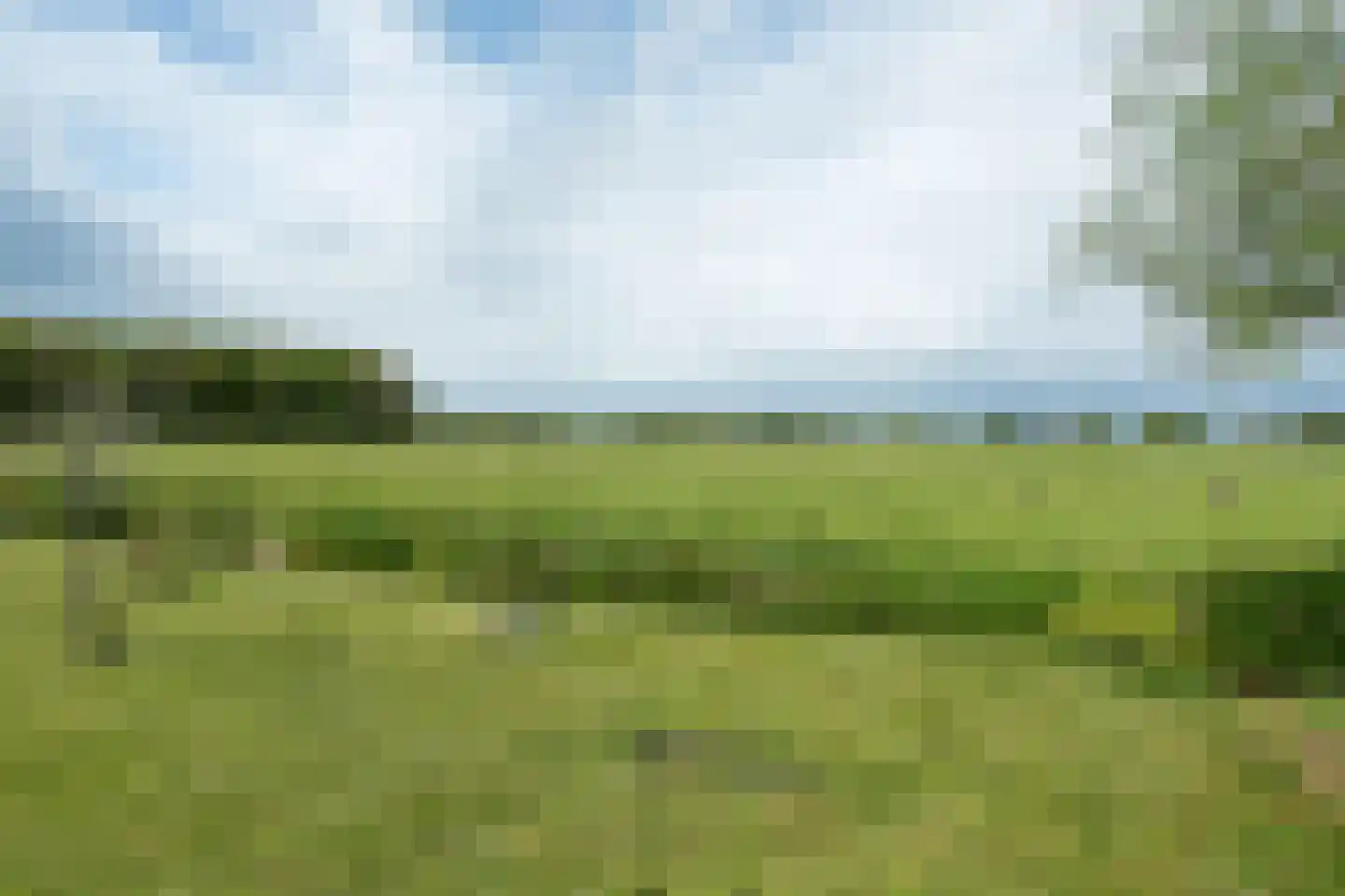 De Streek 35 Terwispel thumbnail 53