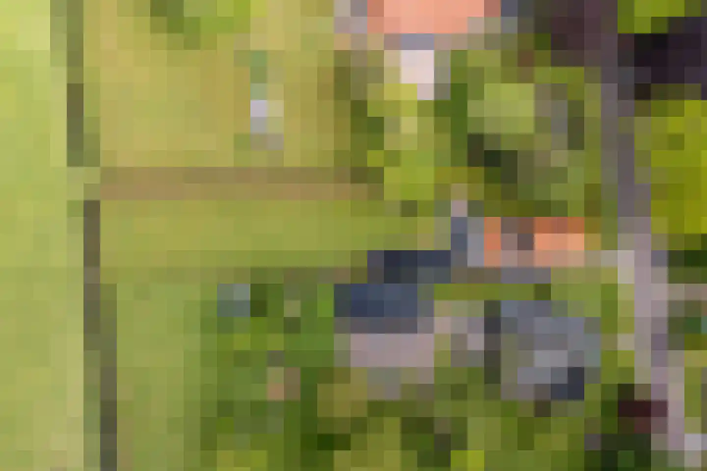 De Streek 35 Terwispel thumbnail 54