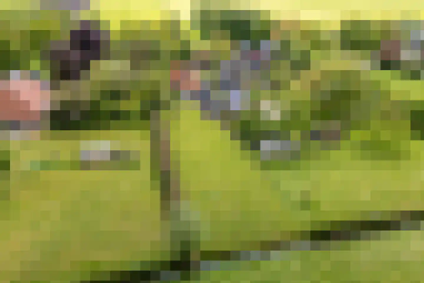 De Streek 35 Terwispel thumbnail 56