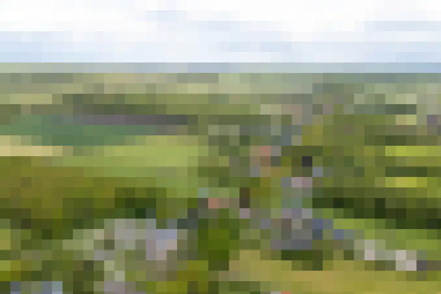 De Streek 35 Terwispel thumbnail 57