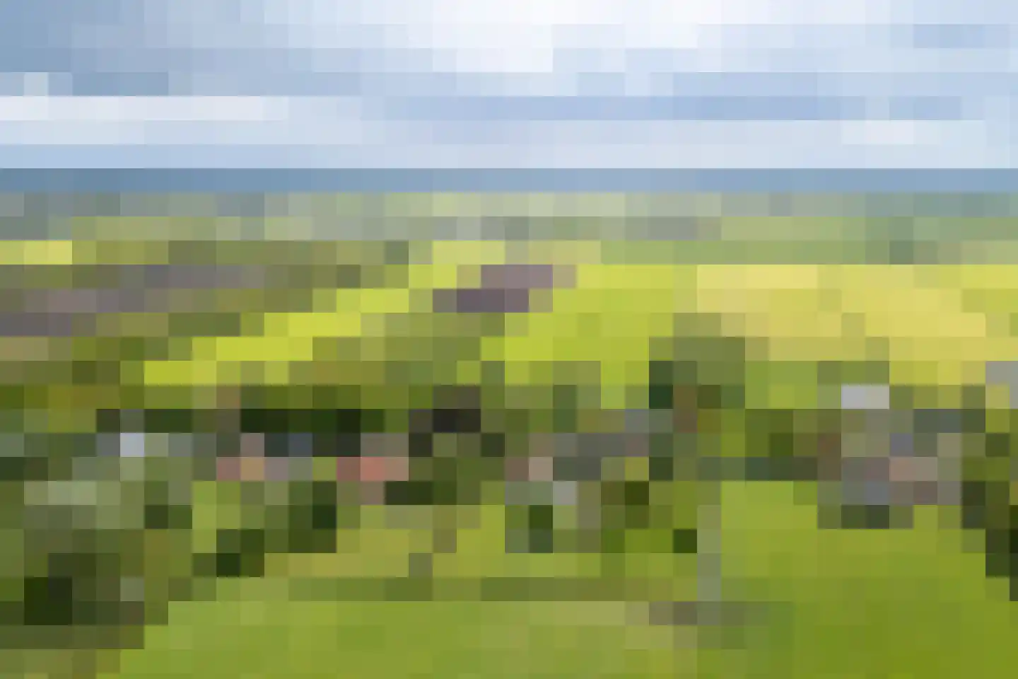 De Streek 35 Terwispel thumbnail 58
