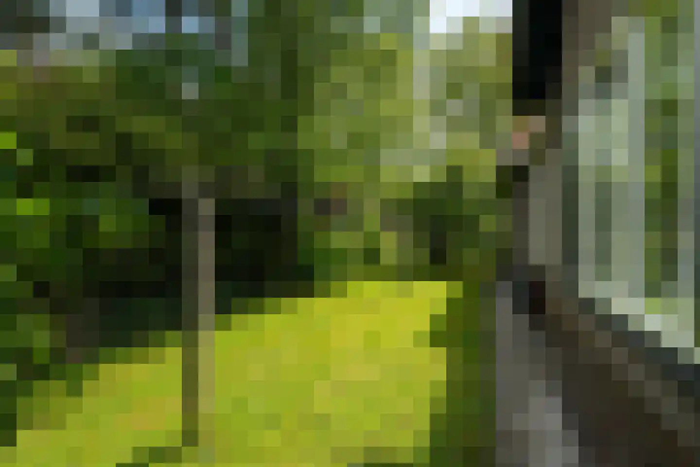 De Streek 35 Terwispel thumbnail 9
