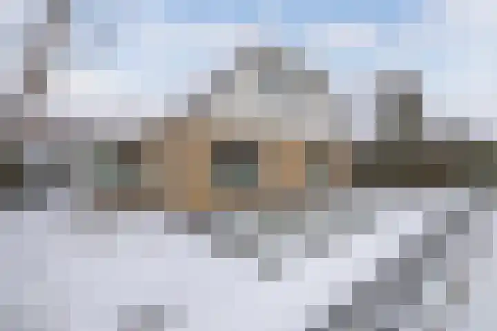 De Streek 41 Lelystad thumbnail 9