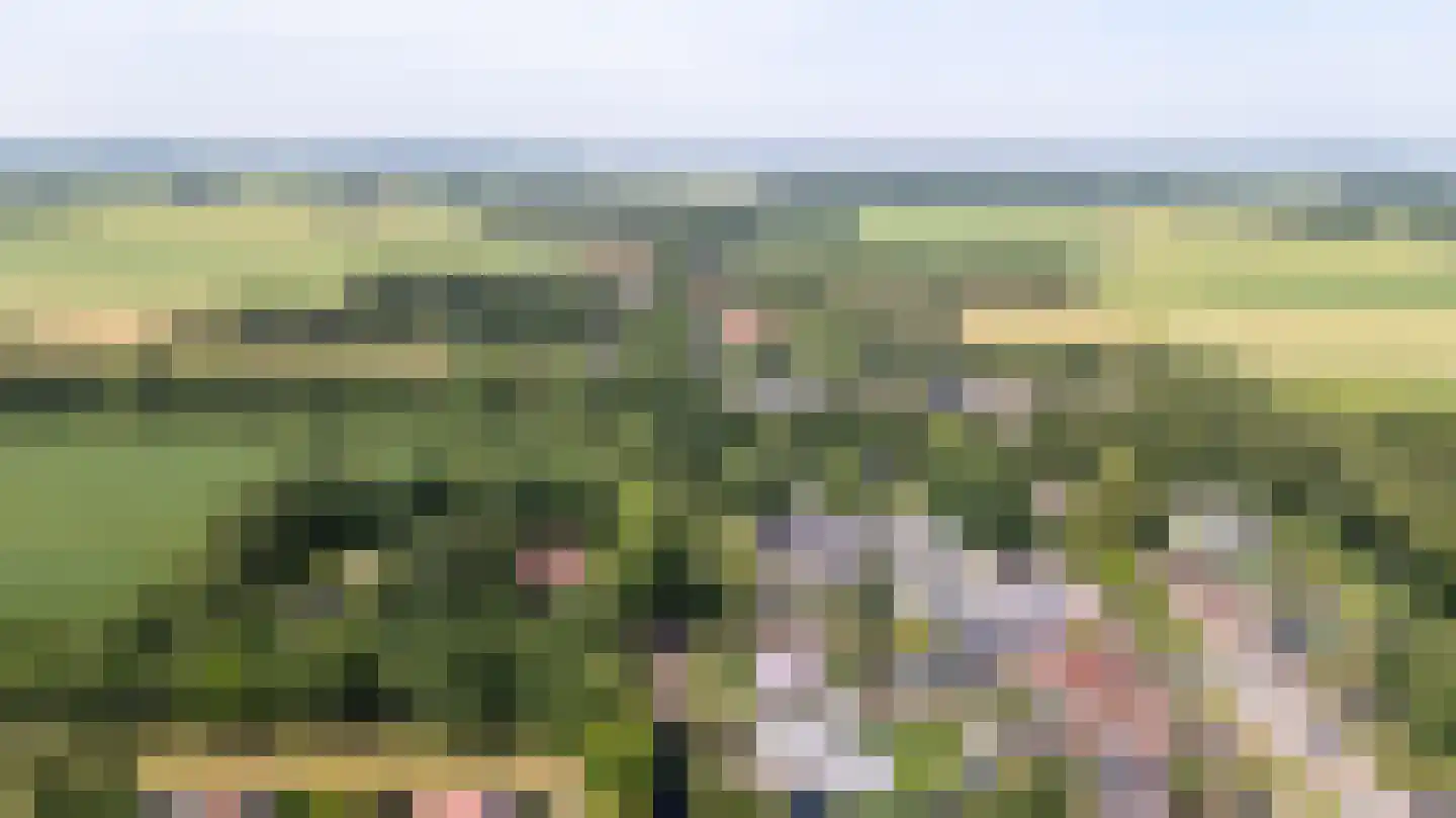 De Streek 47 Terwispel thumbnail 45