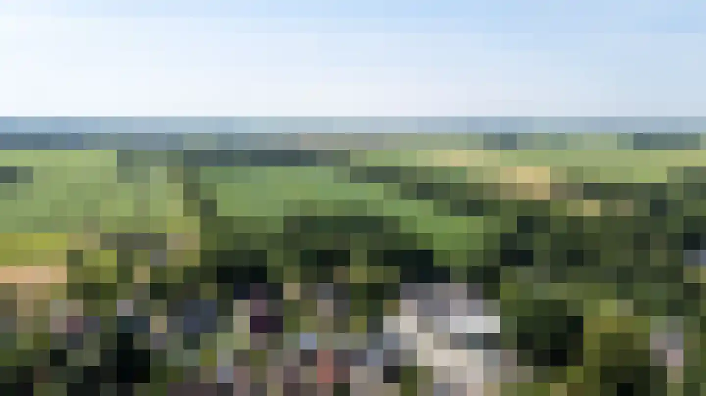 De Streek 47 Terwispel thumbnail 46