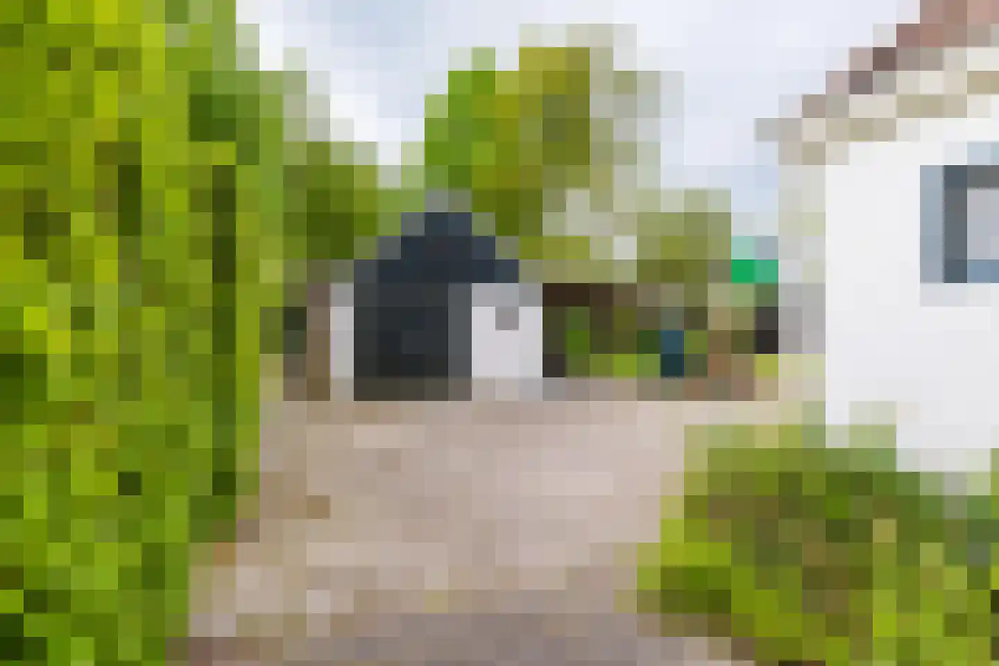 De Streek 48 Terwispel thumbnail 12