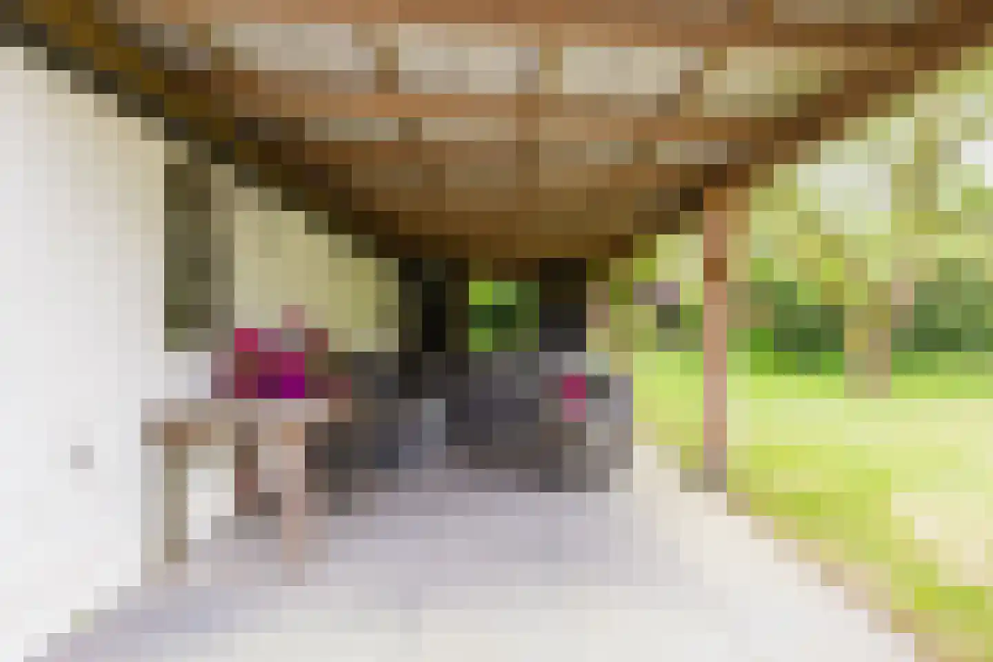 De Streek 48 Terwispel thumbnail 18