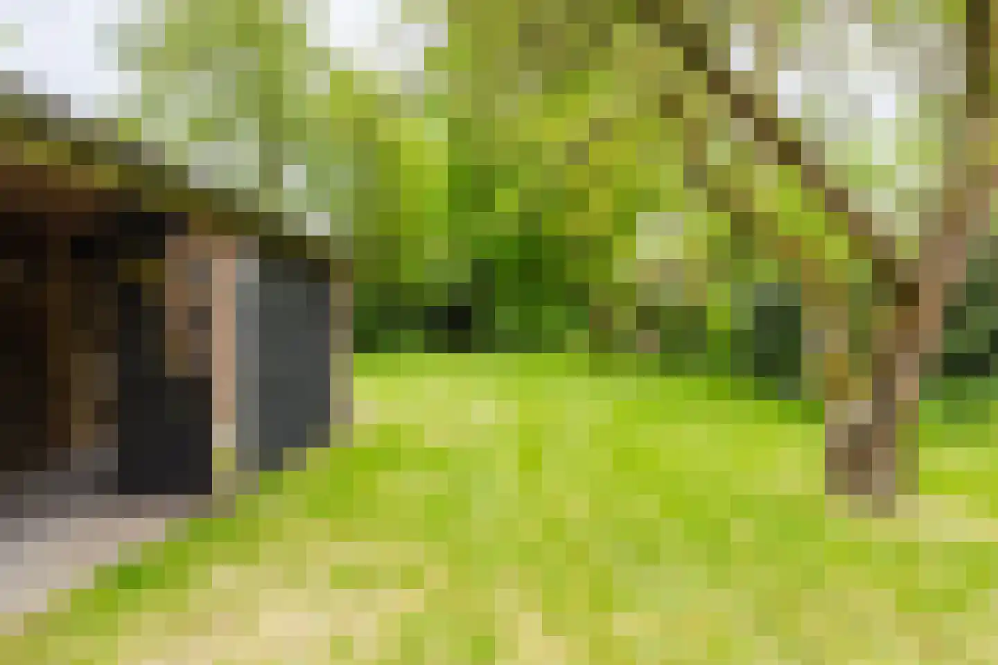 De Streek 48 Terwispel thumbnail 19