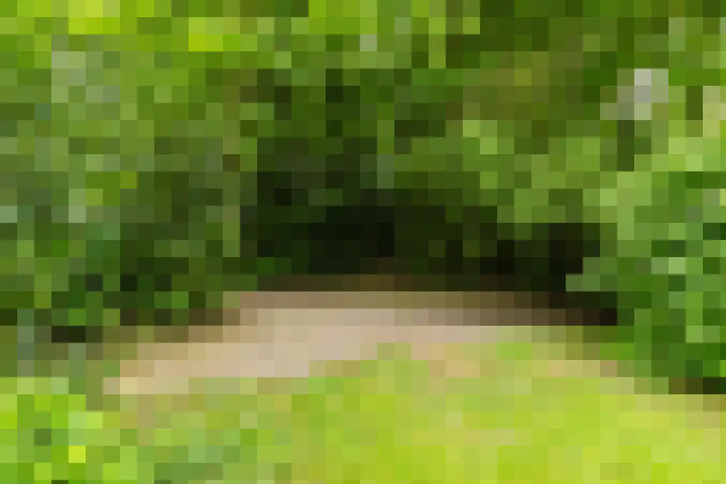 De Streek 48 Terwispel thumbnail 21