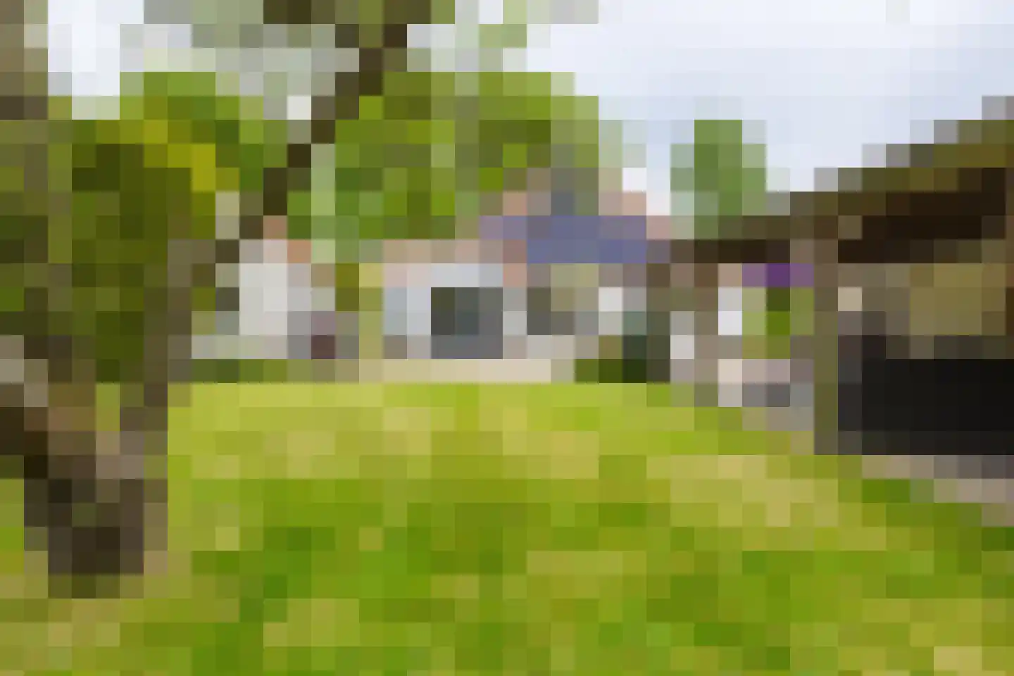 De Streek 48 Terwispel thumbnail 23