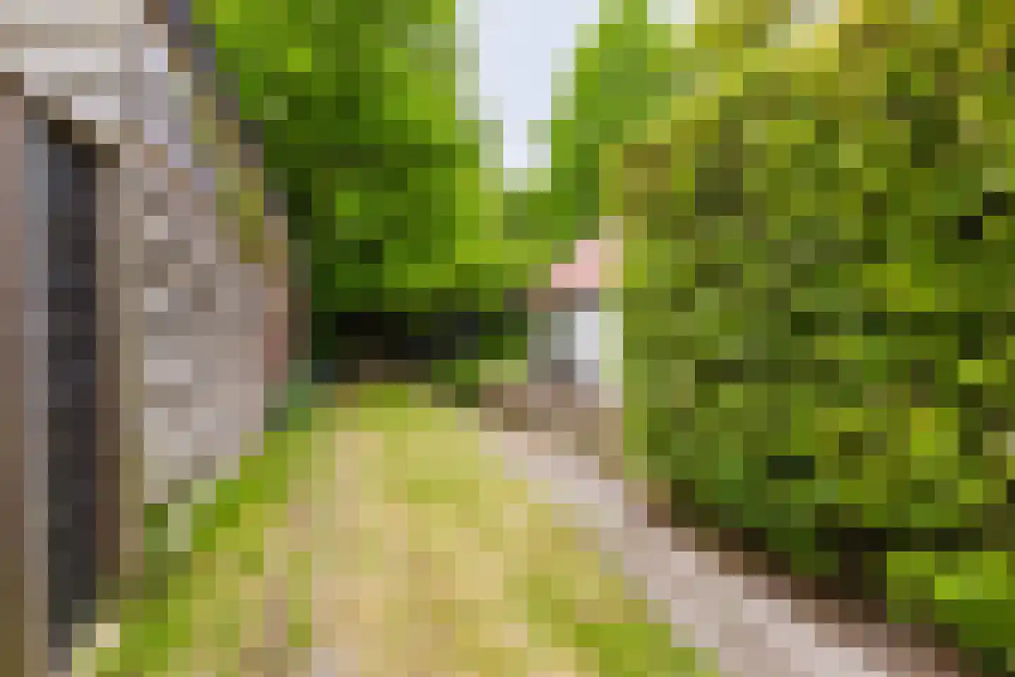 De Streek 48 Terwispel thumbnail 24
