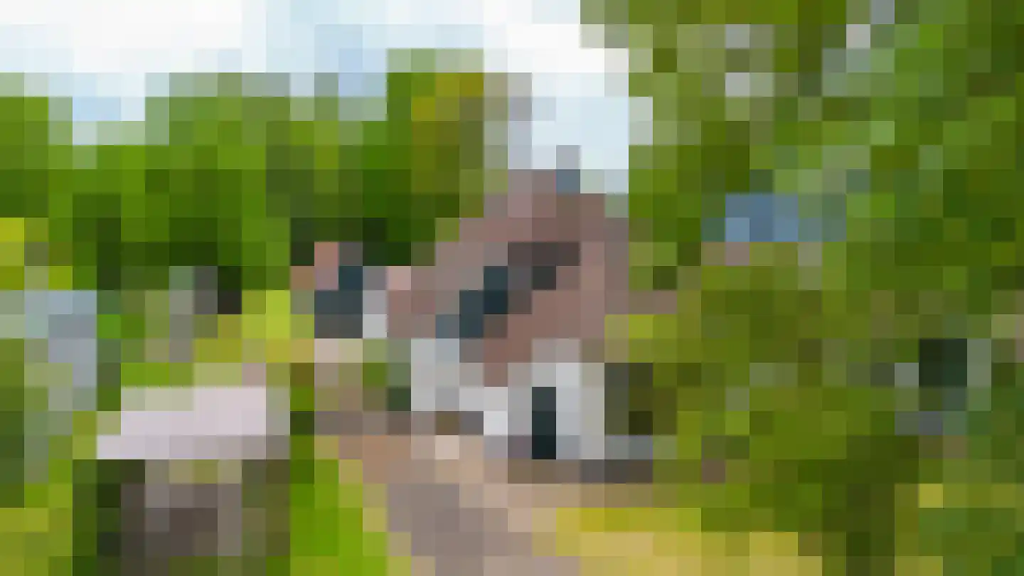 De Streek 48 Terwispel thumbnail 26