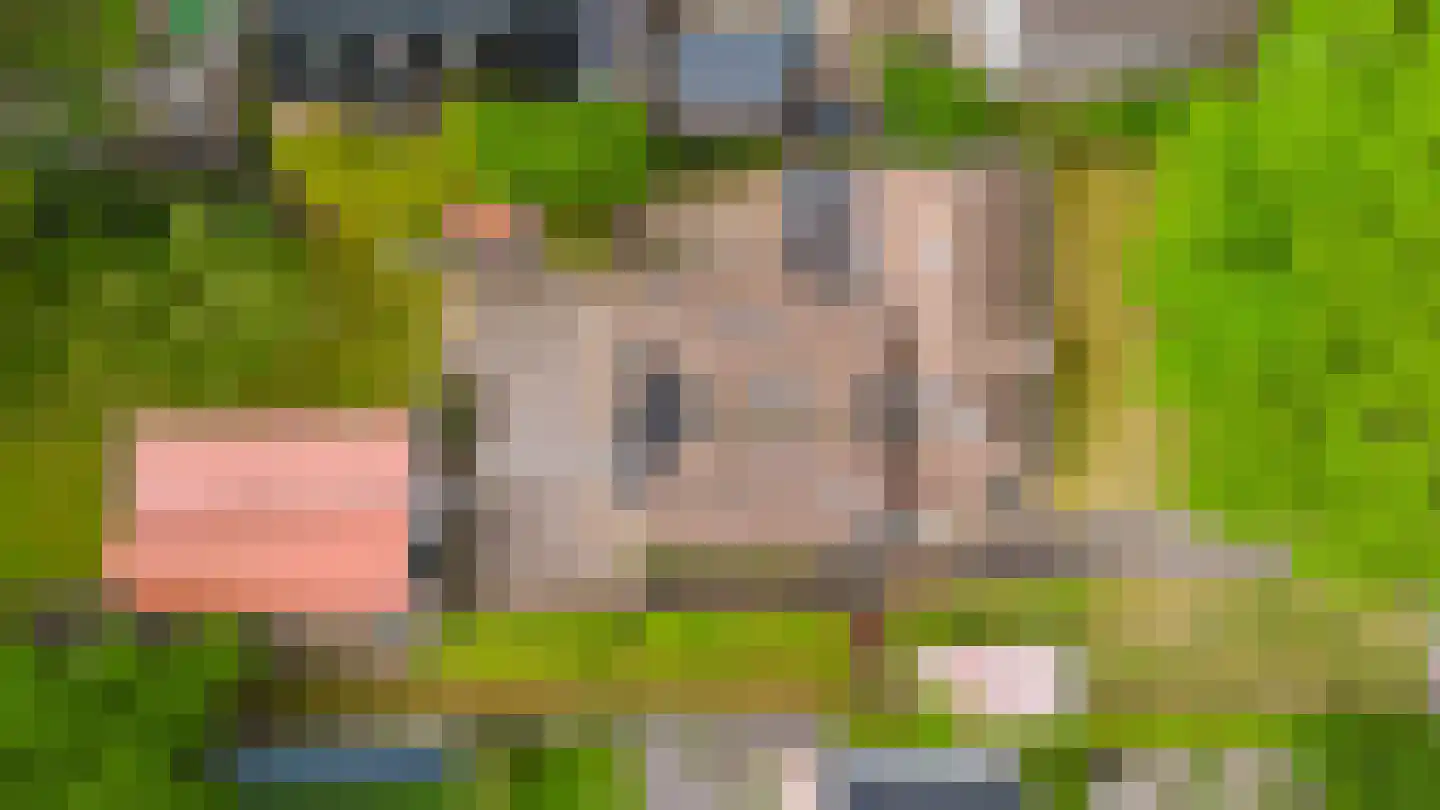 De Streek 48 Terwispel thumbnail 27