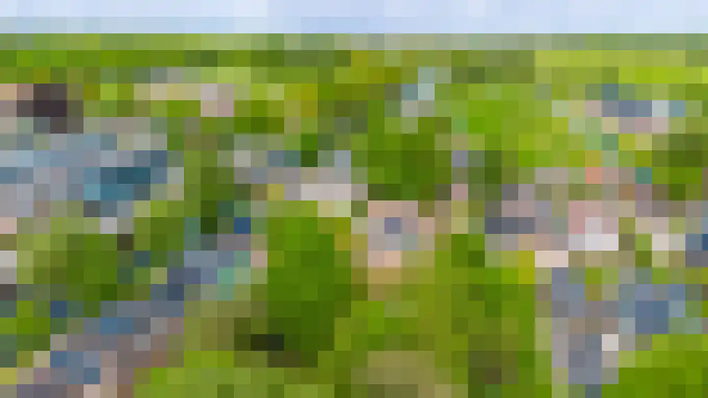 De Streek 48 Terwispel thumbnail 28