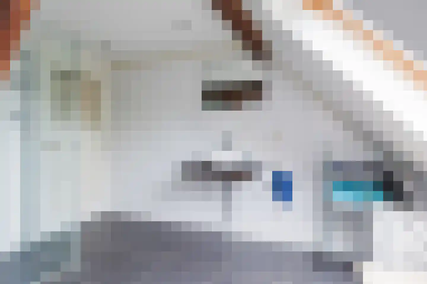 De Streek 48 Terwispel thumbnail 68
