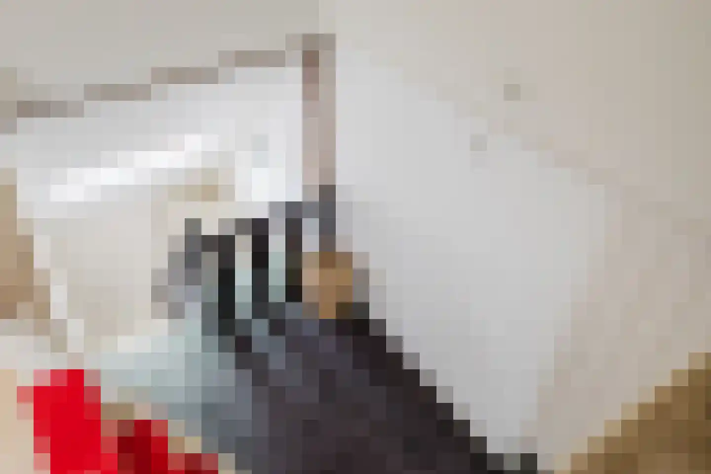 De Streek 48 Terwispel thumbnail 72