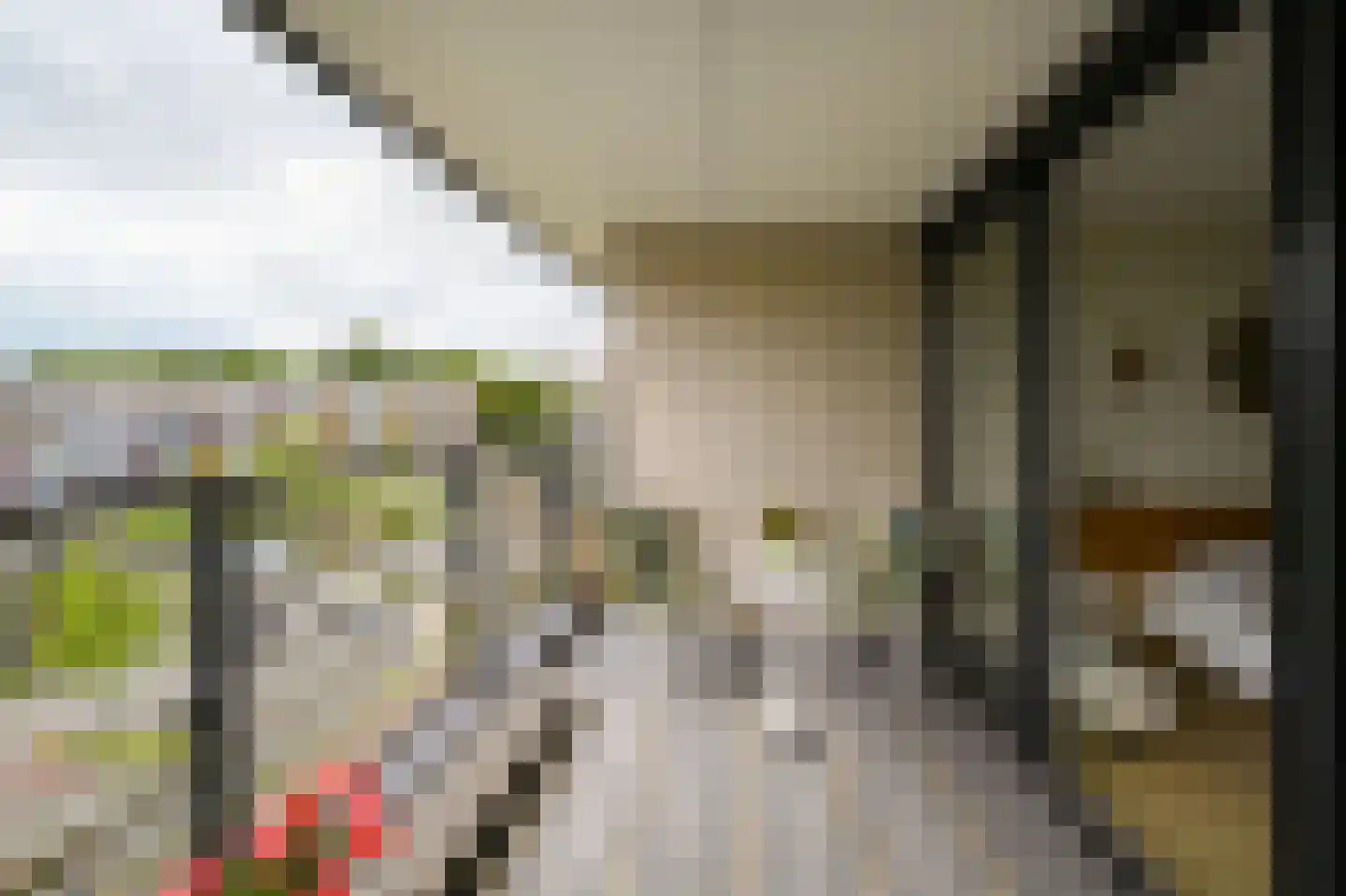 De Streektuinen 108 Hoorn thumbnail 12