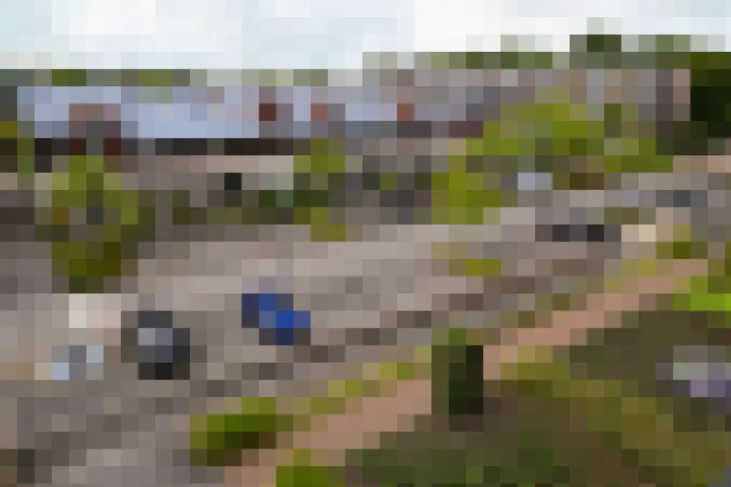 De Streektuinen 108 Hoorn thumbnail 22