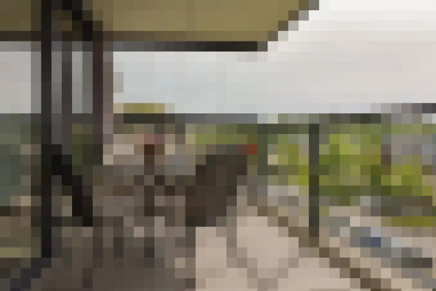 De Streektuinen 109 Hoorn thumbnail 16