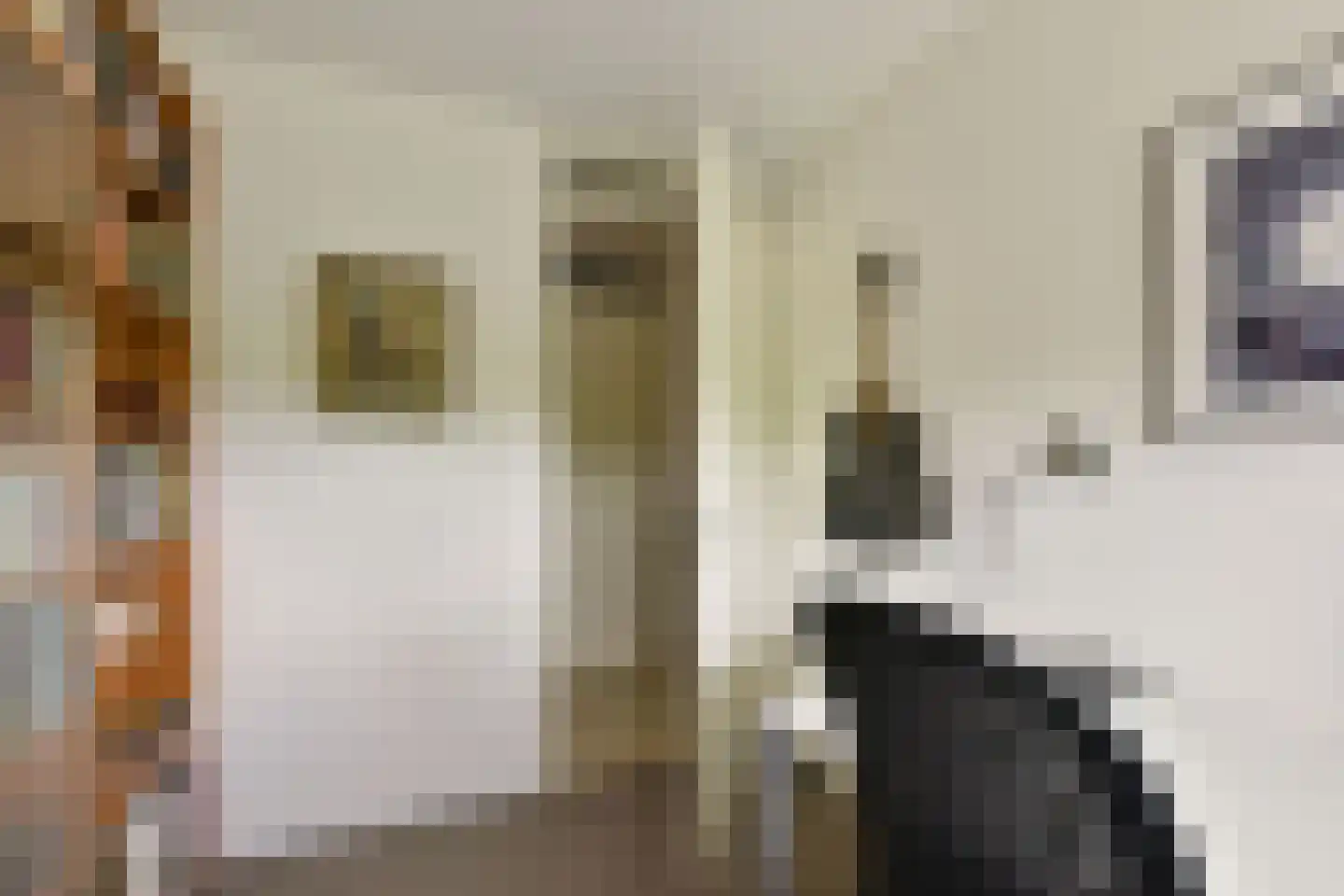 De Streektuinen 109 Hoorn thumbnail 22