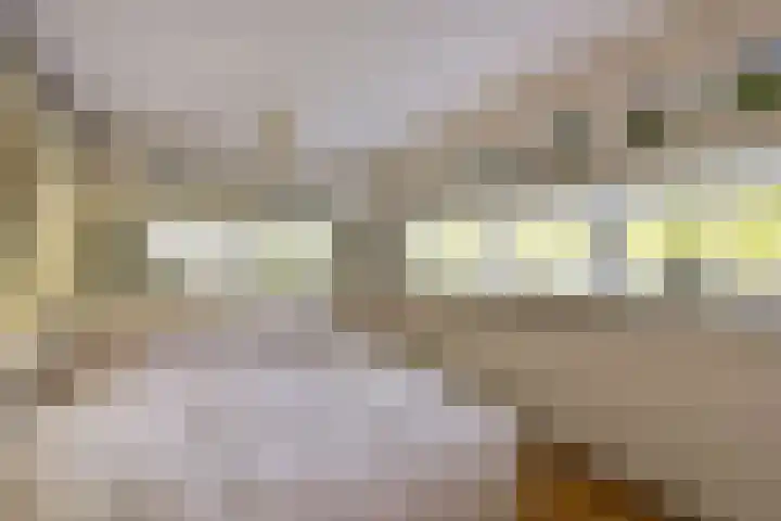 De Streektuinen 118 Hoorn thumbnail 11
