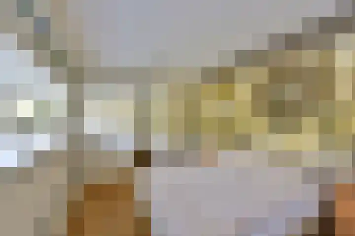 De Streektuinen 118 Hoorn thumbnail 12