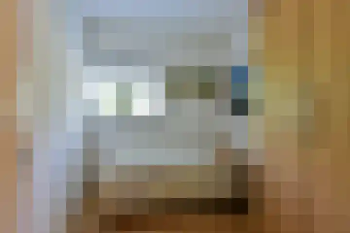 De Streektuinen 118 Hoorn thumbnail 16
