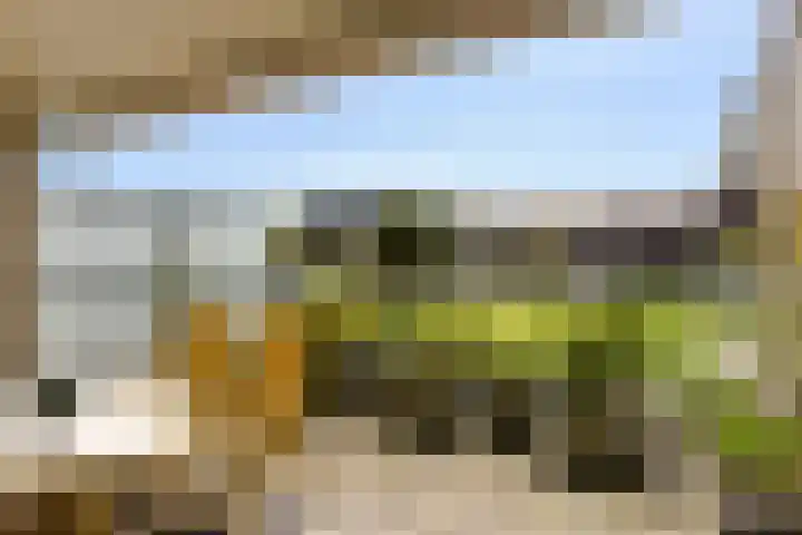 De Streektuinen 118 Hoorn thumbnail 20