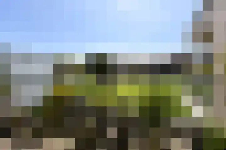 De Streektuinen 118 Hoorn thumbnail 21