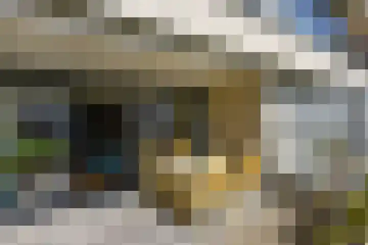 De Streektuinen 118 Hoorn thumbnail 22