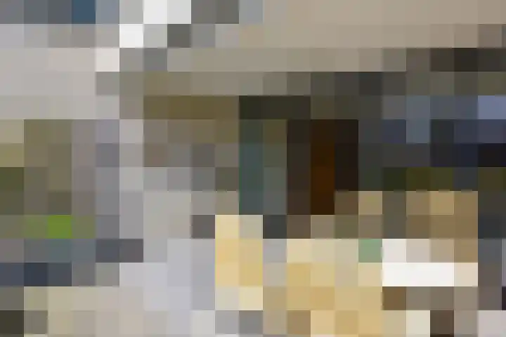 De Streektuinen 118 Hoorn thumbnail 23